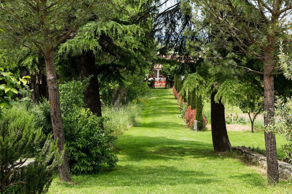 Casale Vacanze Il Granaio Кортона Екстериор снимка
